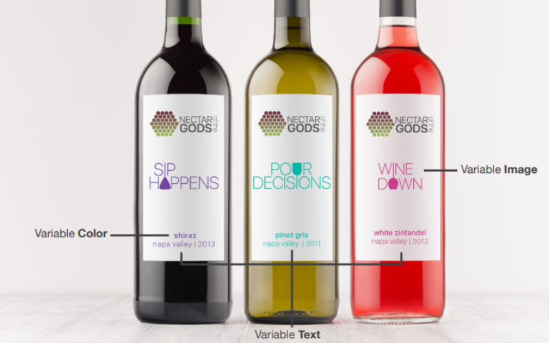 Dados Variáveis Xitron Variegator - Imagem 3